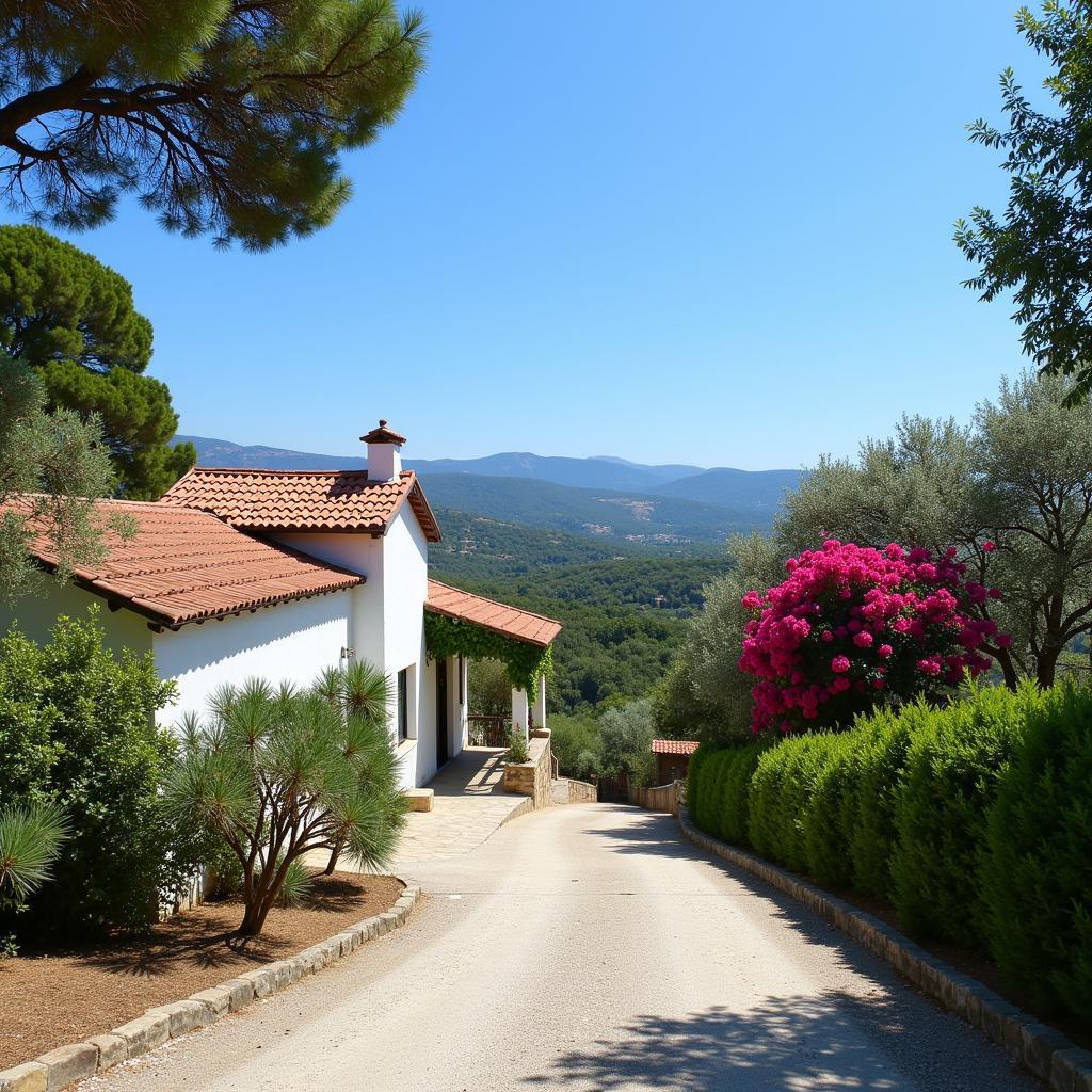 Homestay in a picturesque Andalusian village