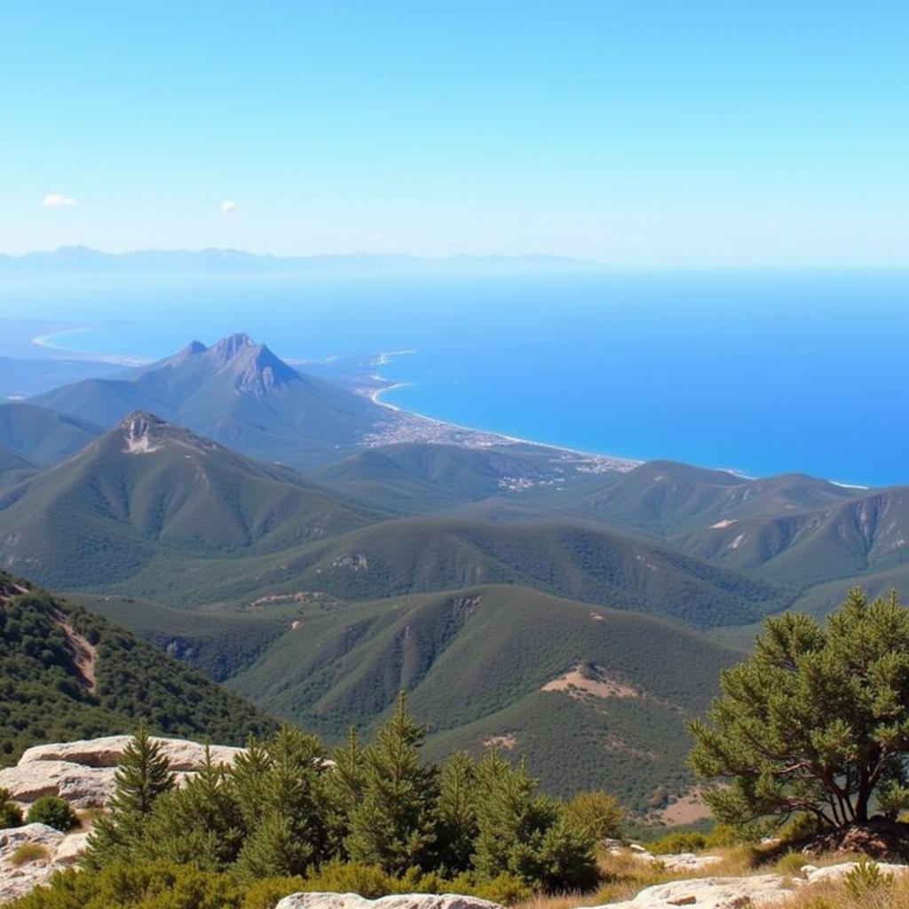 Panoramic view from the summit of El Turo de l'Home