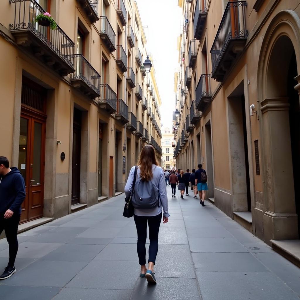 Exploring Barcelona's Gothic Quarter During a Homestay