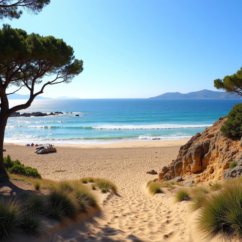 Panoramic view of La Platja beach