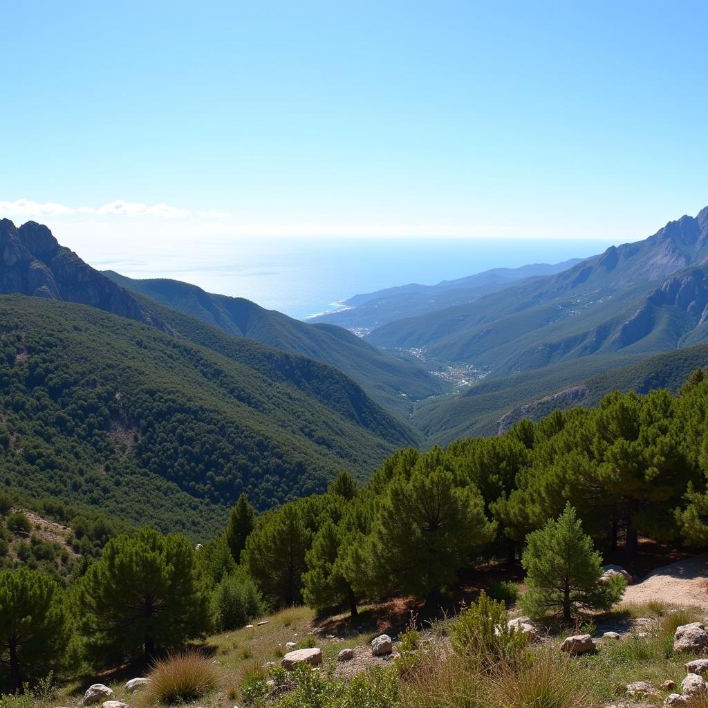 Mallorca's Diverse Landscape