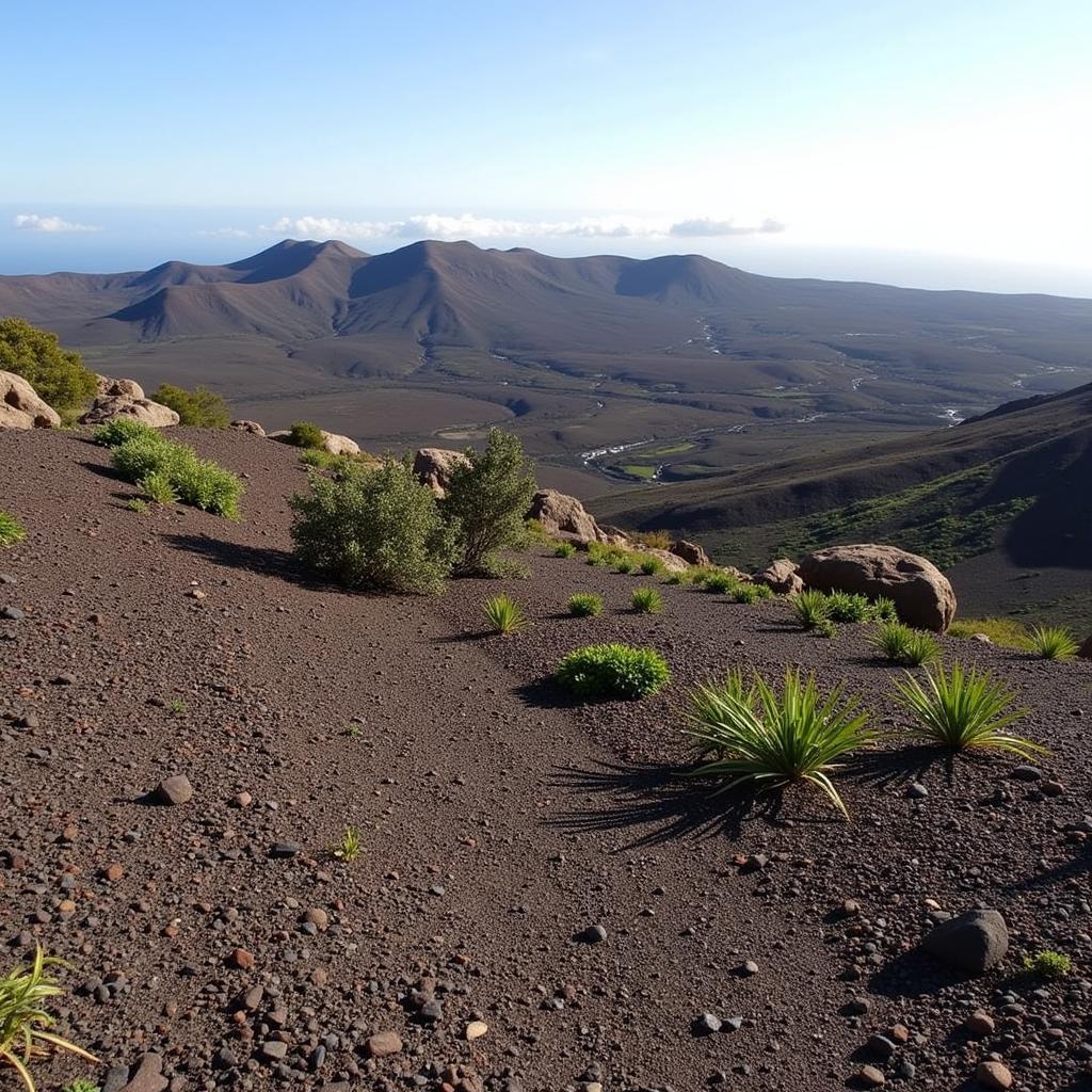 View of volcanic landscape from Moka Home Islazul