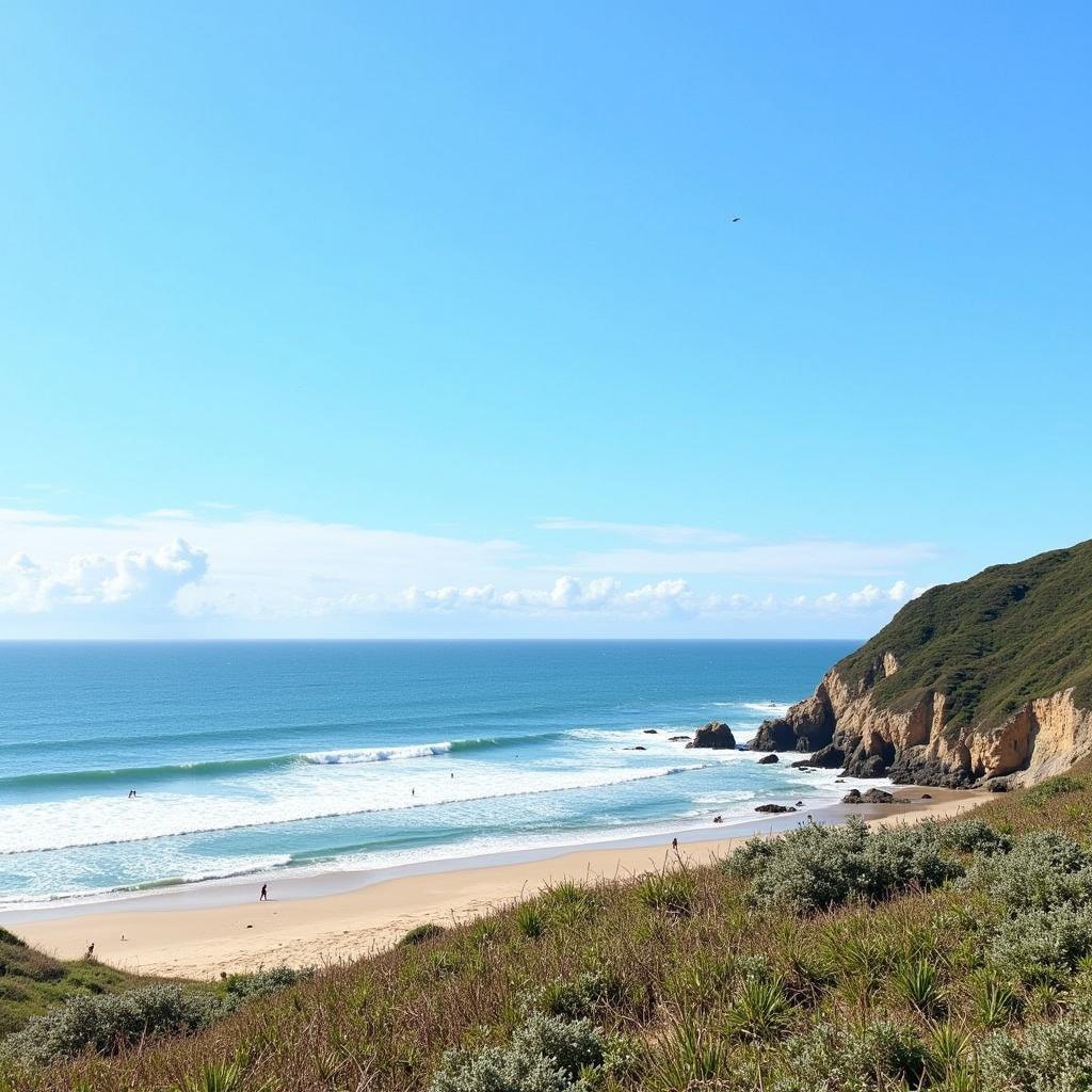 Surfers enjoying the waves at a beach in Saint Jean de Luz