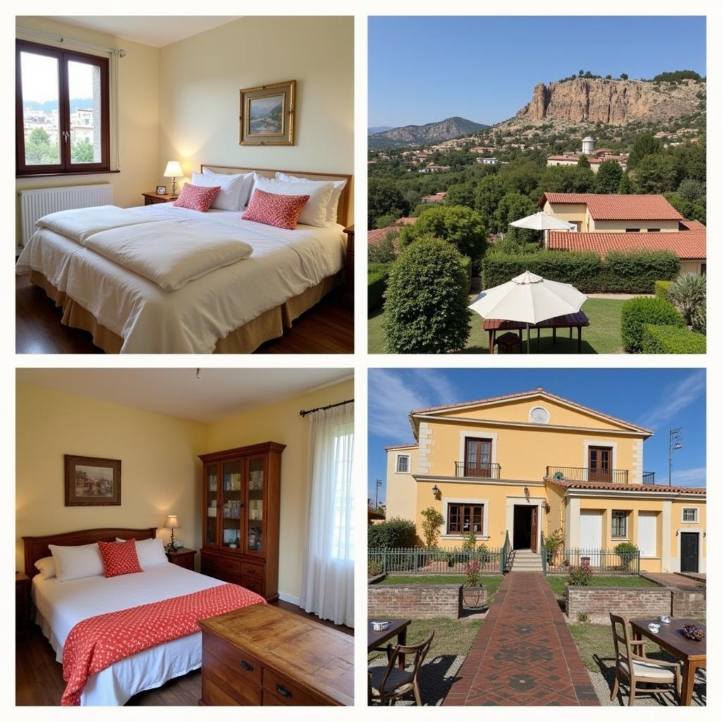 Diverse homestay options available in Spain