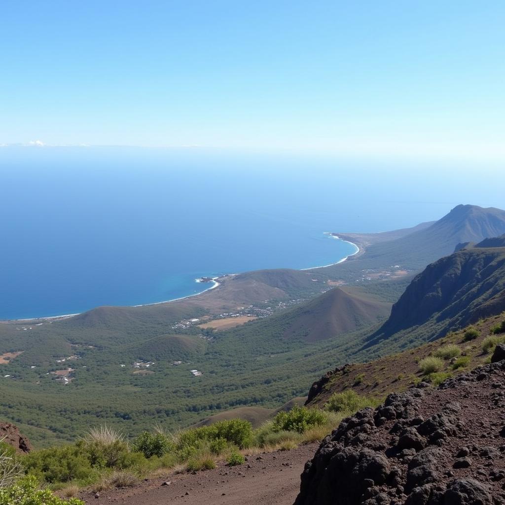 Tenerife Landscape