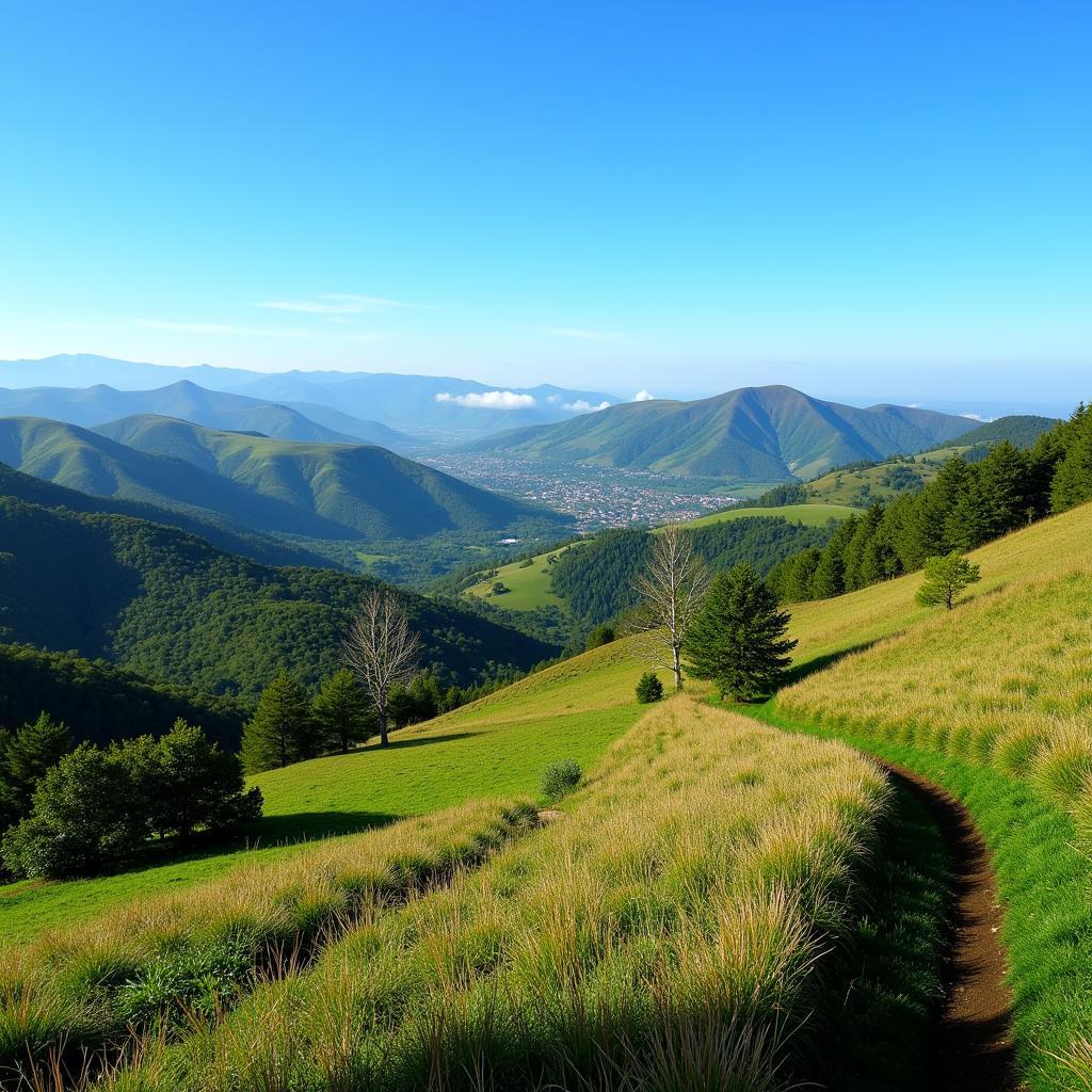 Scenic view of Turo de l'Home landscape