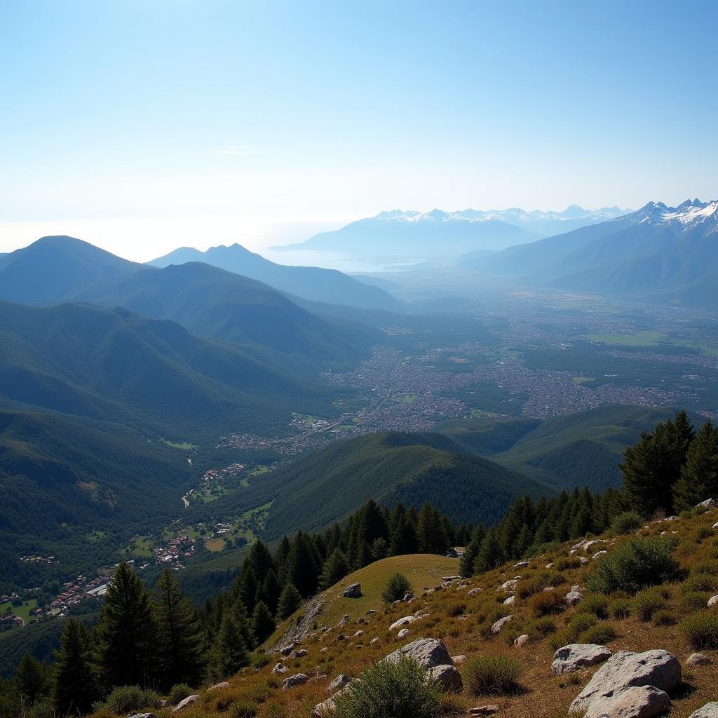 Panoramic View from Turo de L'Home