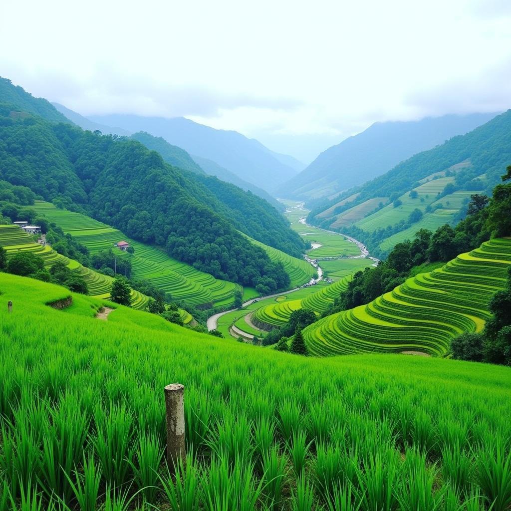 Anh Duc Homestay scenic view of Sapa Valley