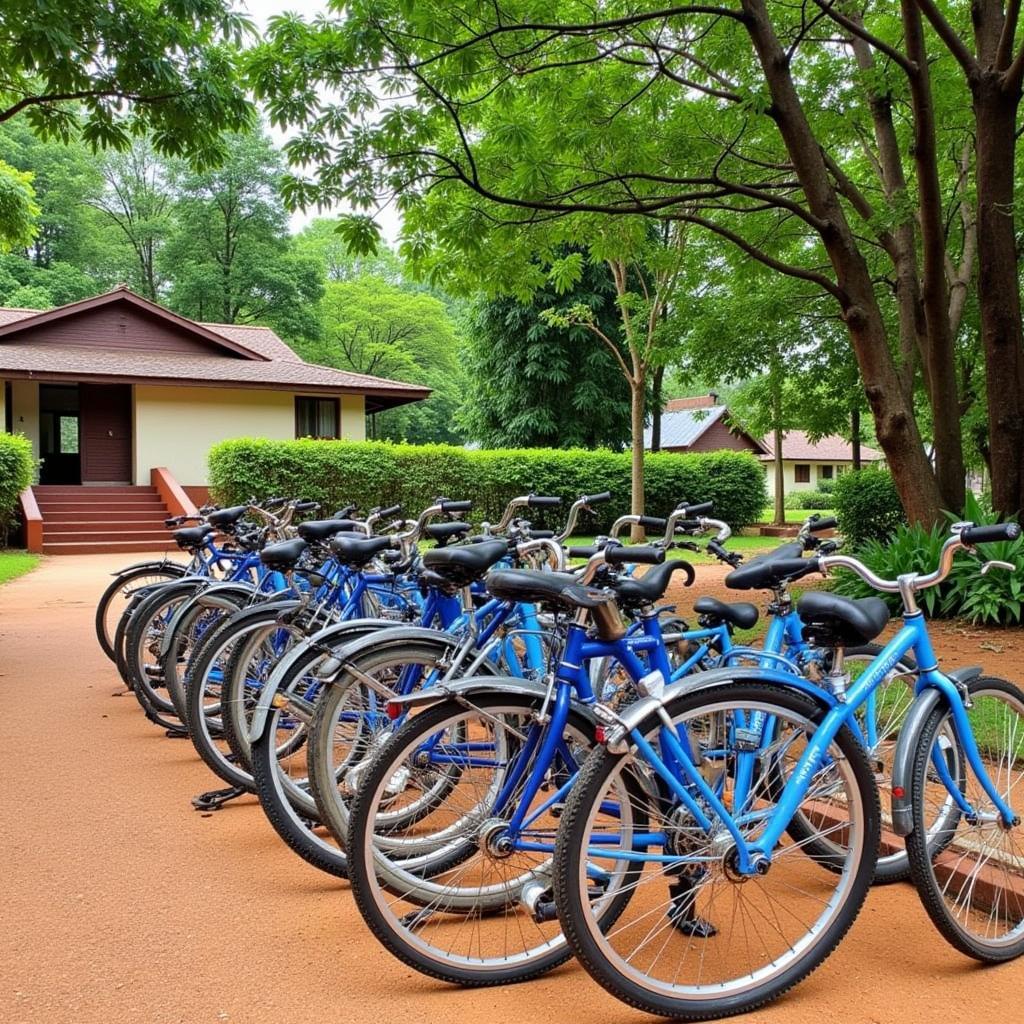 Bicycle Rental Near Auroville Homestay