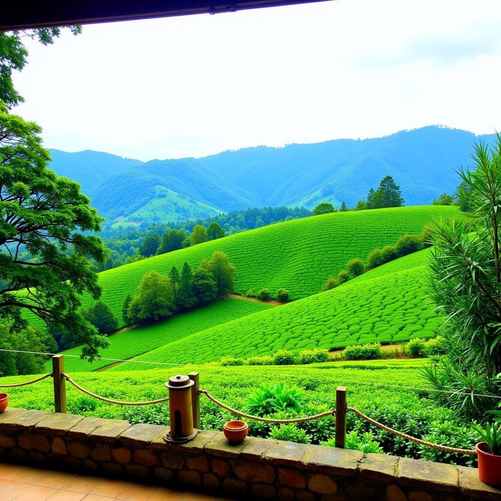 Cameron Highland Homestay with Tea Plantation View