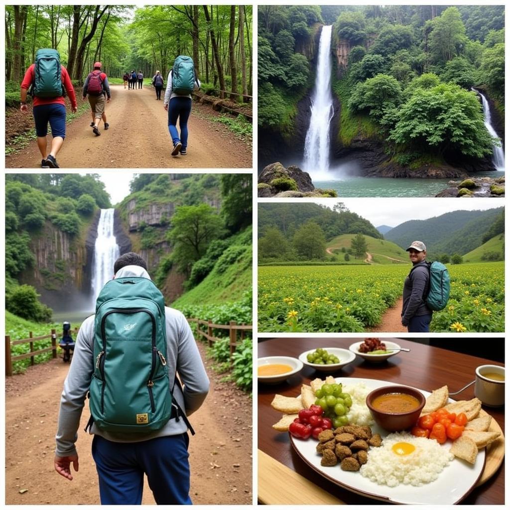 Activities near Chikmagalur Homestays