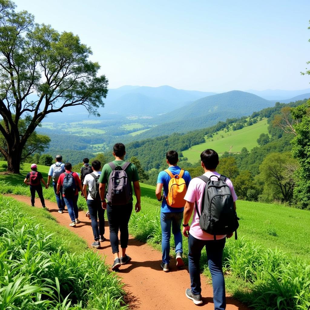 Trekking in Mullayanagiri near a Chikmagalur homestay