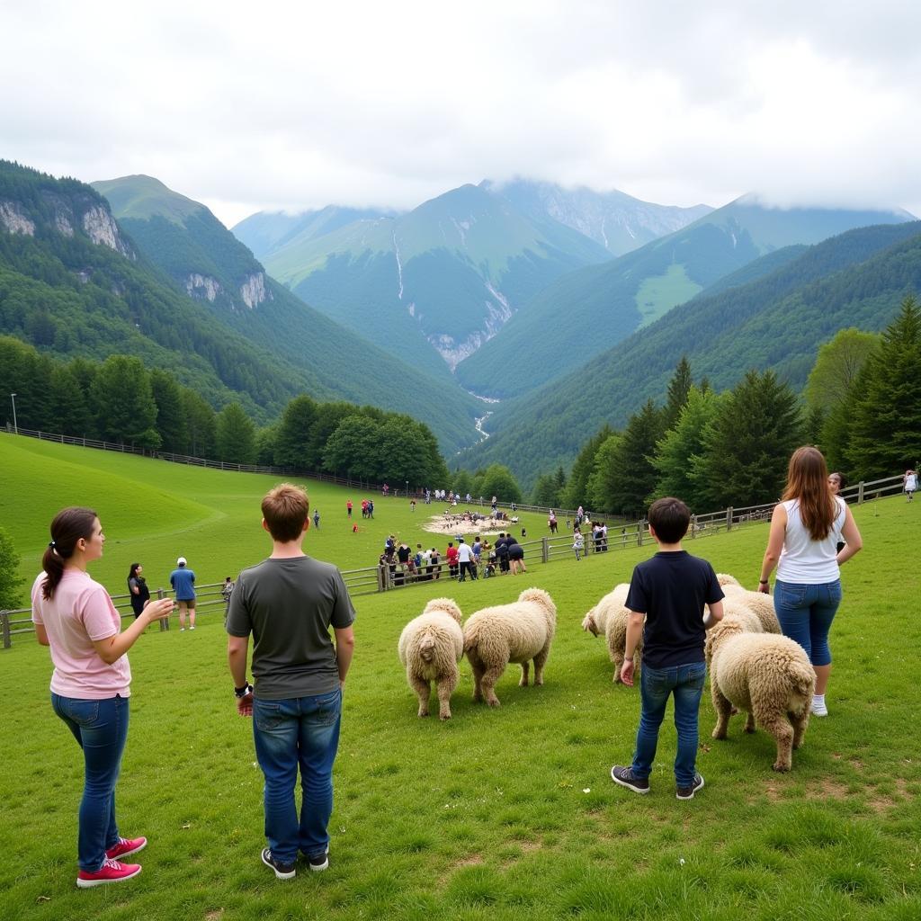 Cingjing Farm Sheep Shearing Show