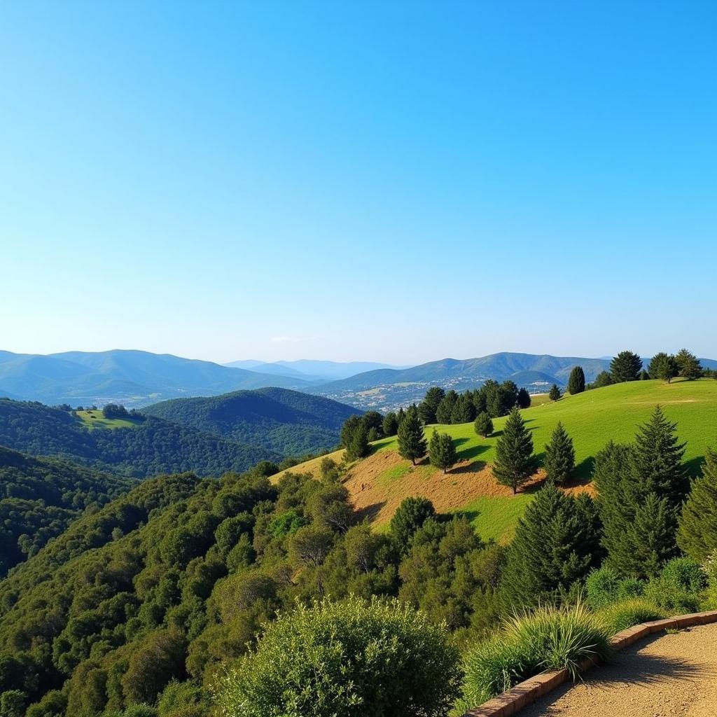 Stunning Hill Views from CNR Hill View Homestay