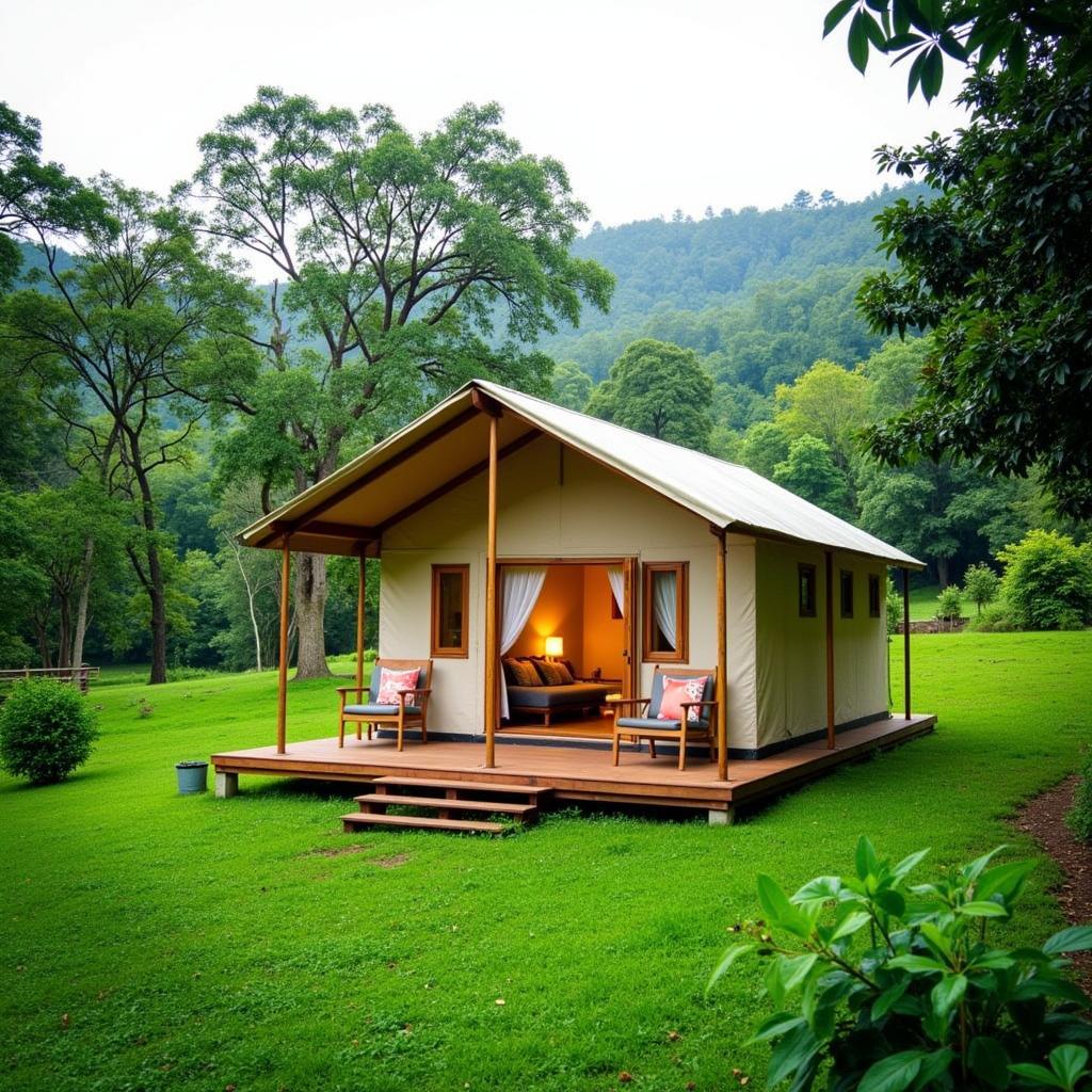 Coorg Tent House Homestay amidst Lush Greenery