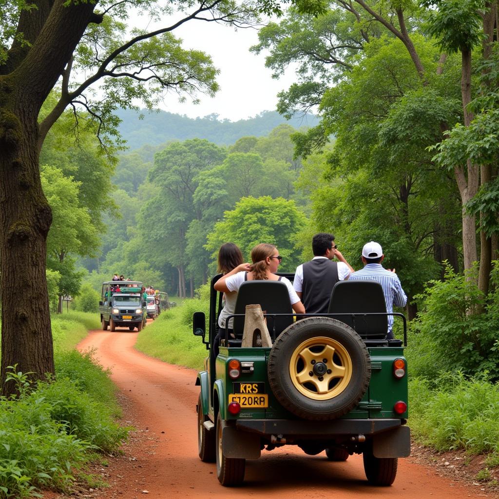 Dandeli Wildlife Safari Experience