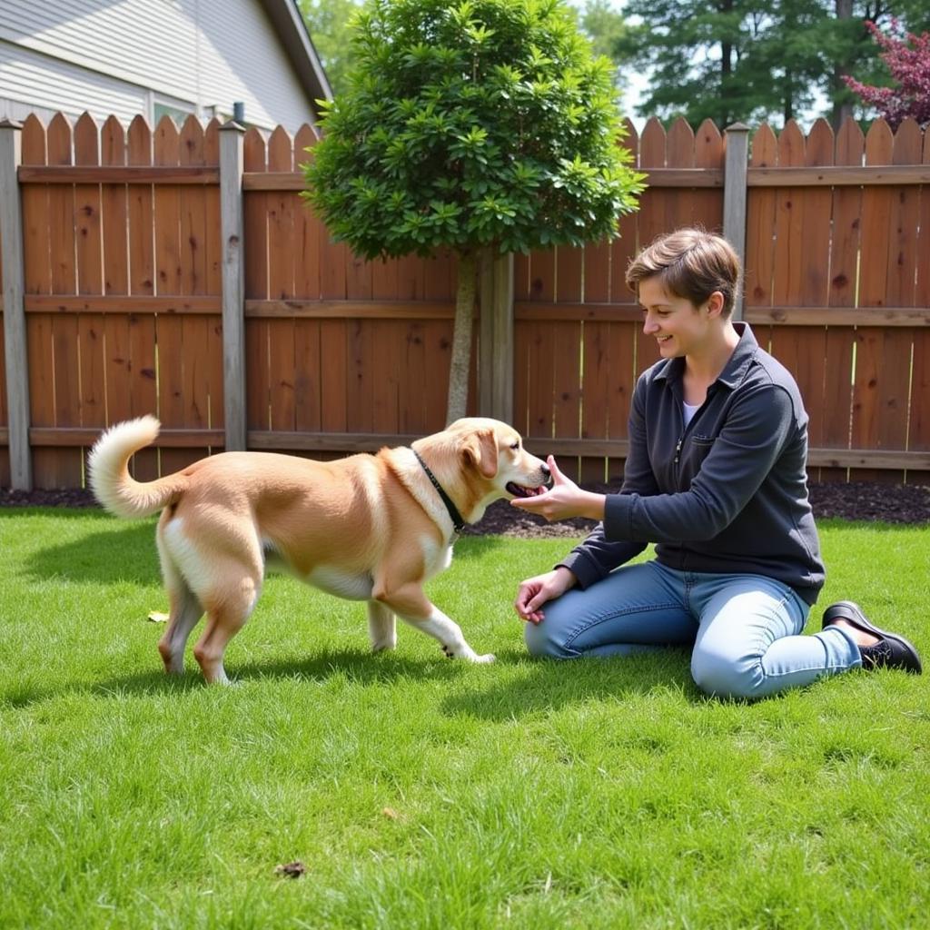 Dog playing with host at a Hyderabad homestay