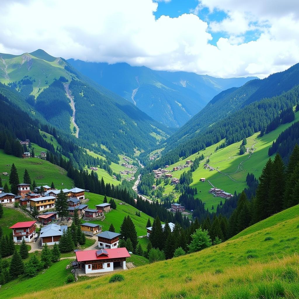 Dzongu Sikkim Landscape