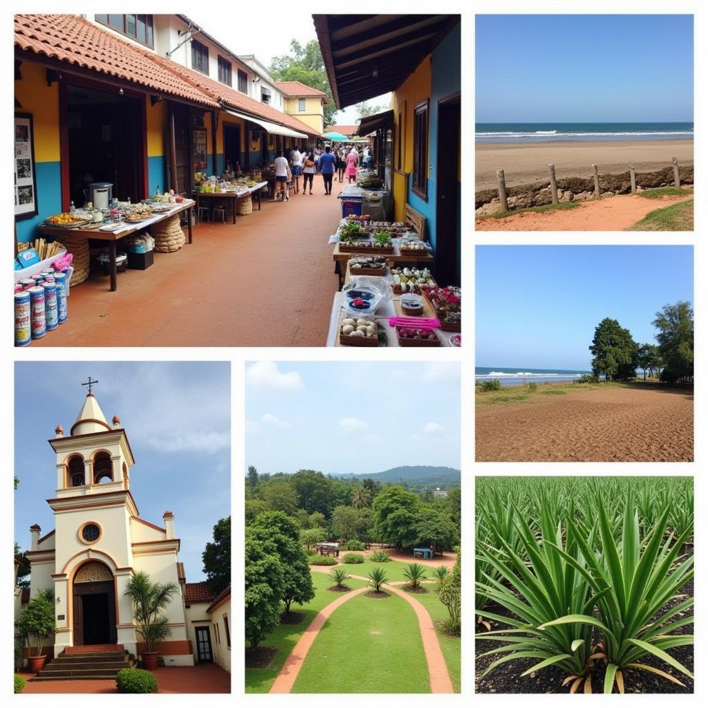 Exploring Goa from a Calangute Homestay