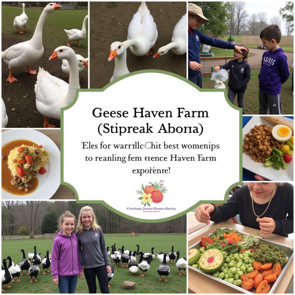 Activities at Geese Haven Farm