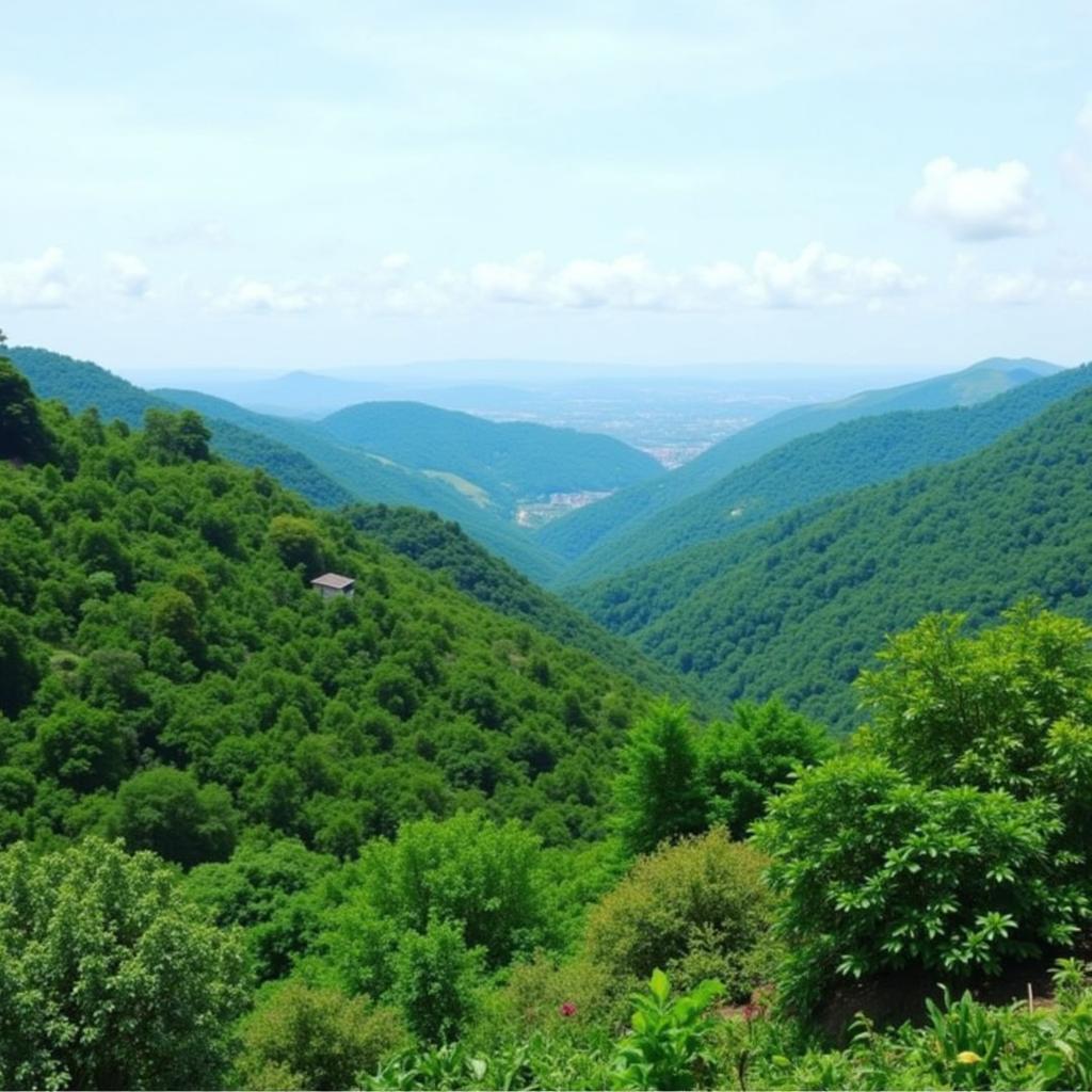 Breathtaking Scenic View of Kaki Bukit Larut, Malaysia