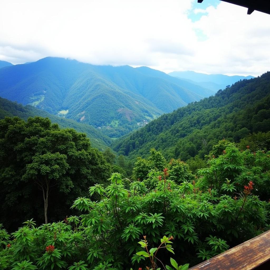 Scenic View of Kalimpong from a Homestay