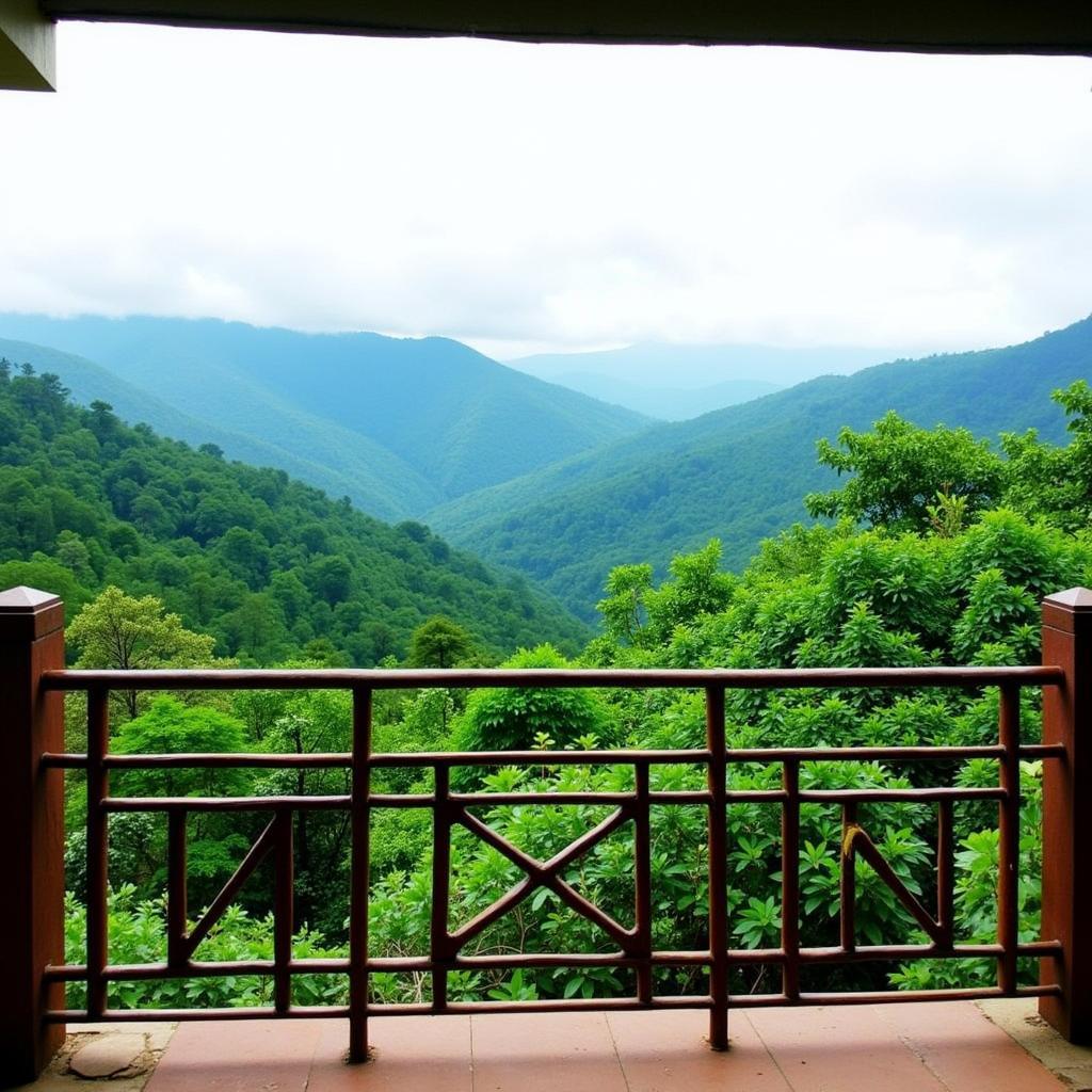 Scenic view from a Kemmanagundi homestay