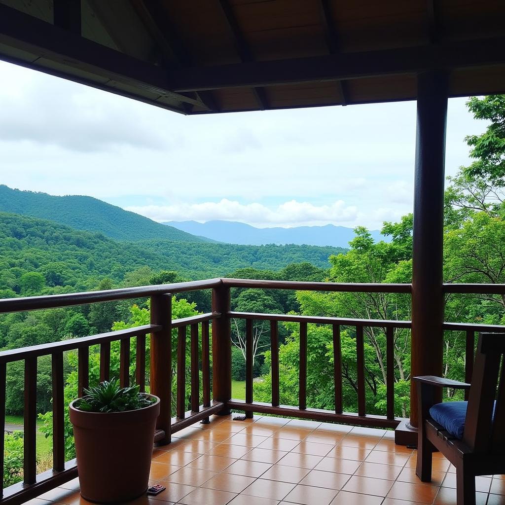 Stunning view from a Langkawi homestay balcony