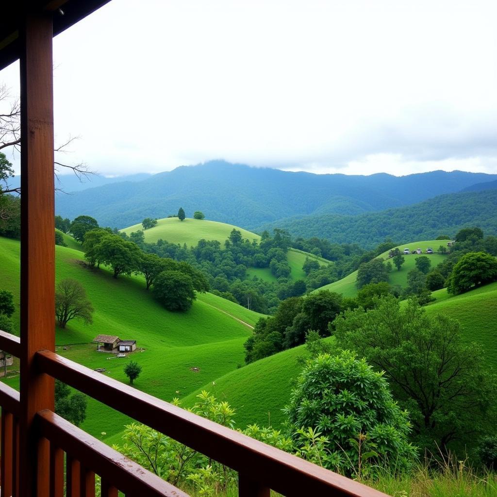 Mandalpatti homestay with breathtaking scenic views