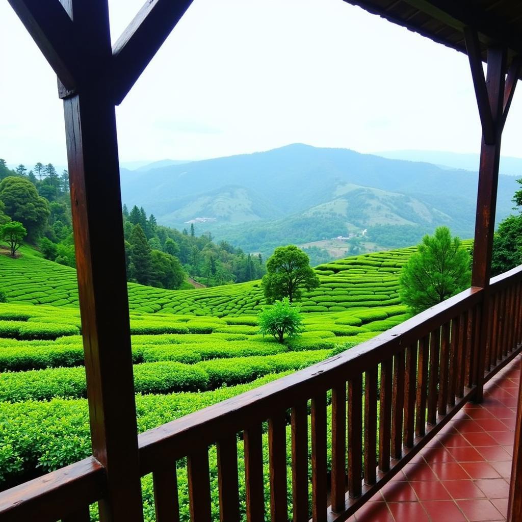 Munnar Tea Plantation Homestay View