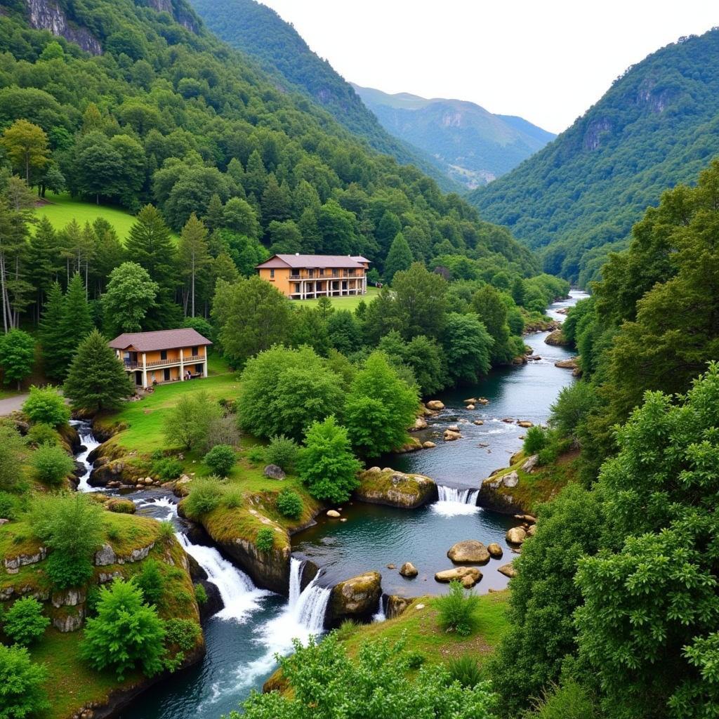 Exploring Silent Valley National Park from Your Homestay