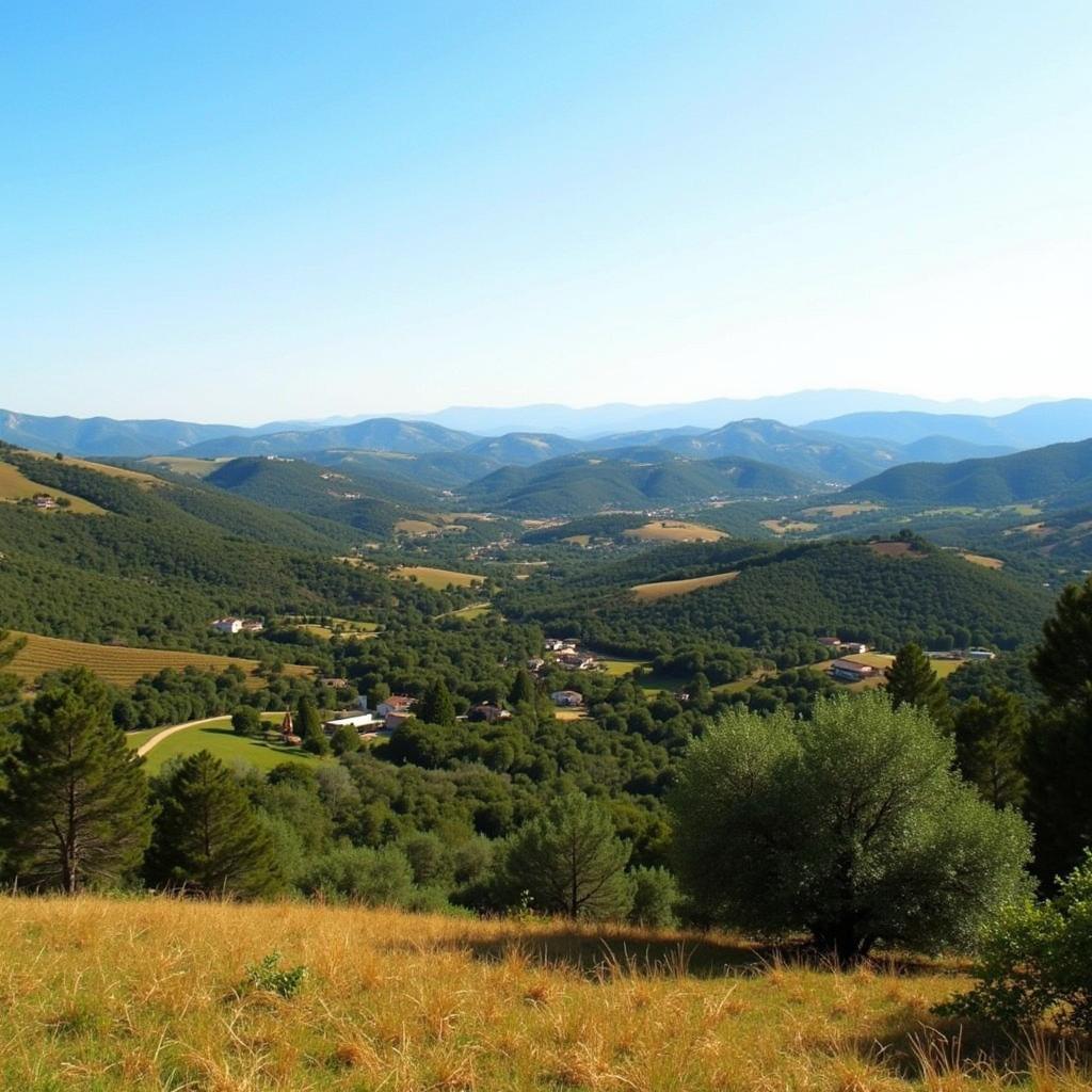 Scenic view of the Spanish countryside from a homestay