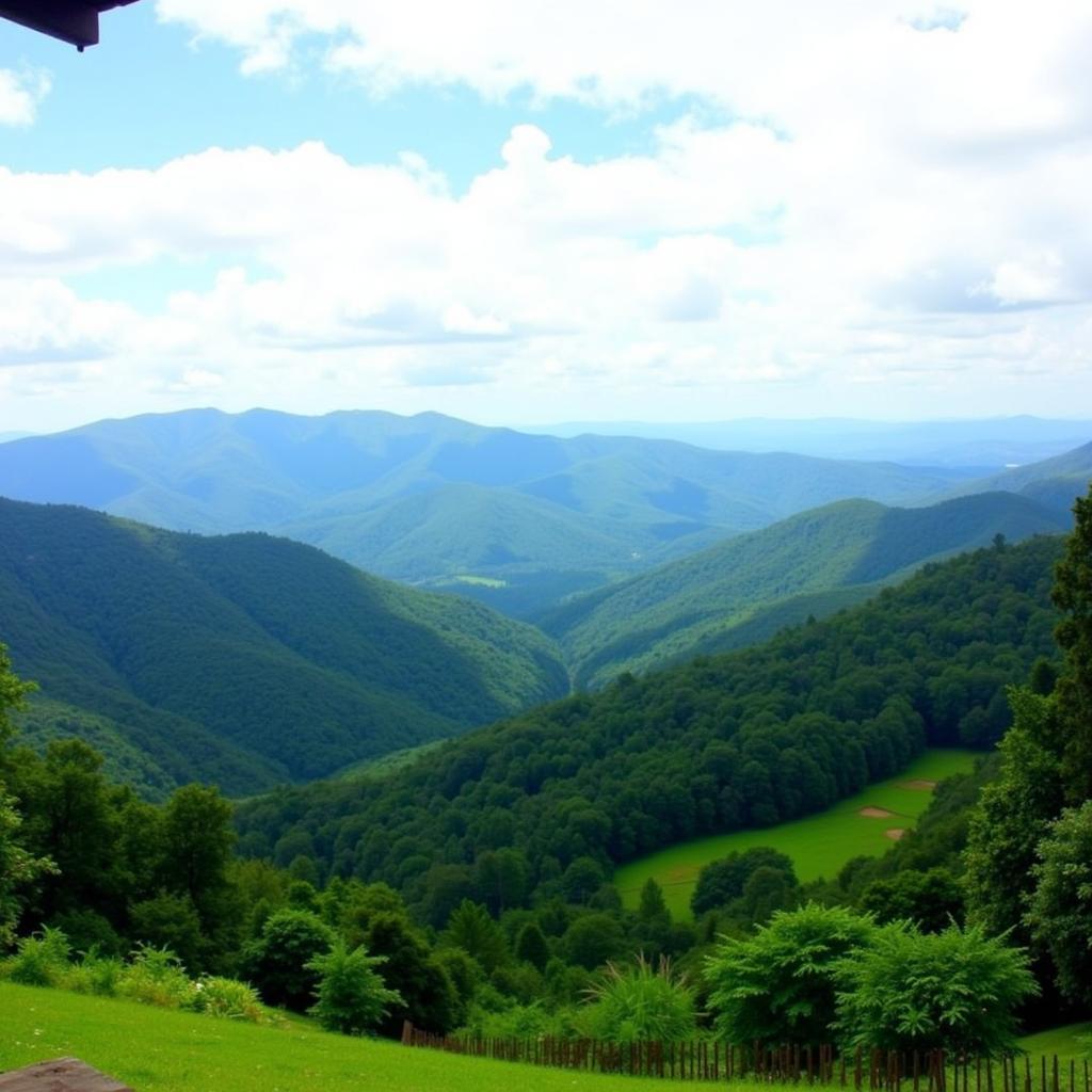 Sringeri Homestay Scenic View