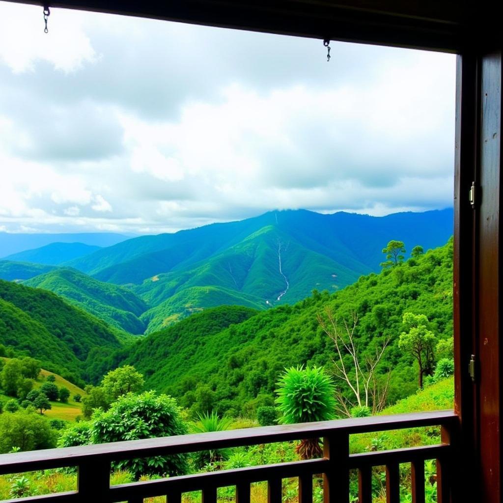 Scenic view from a Wayanad homestay balcony