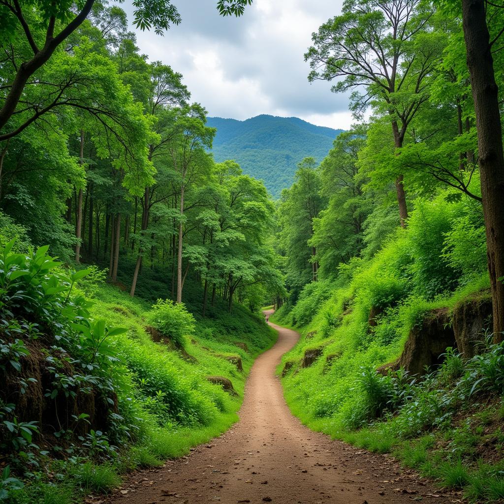 Lush Greenery at Ampang Forest Eco Park