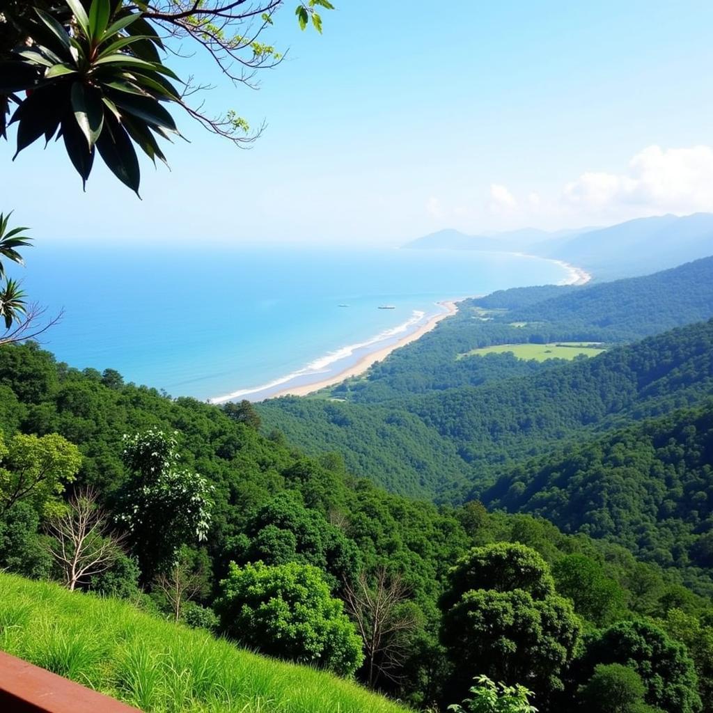 Bako National Park Homestay View