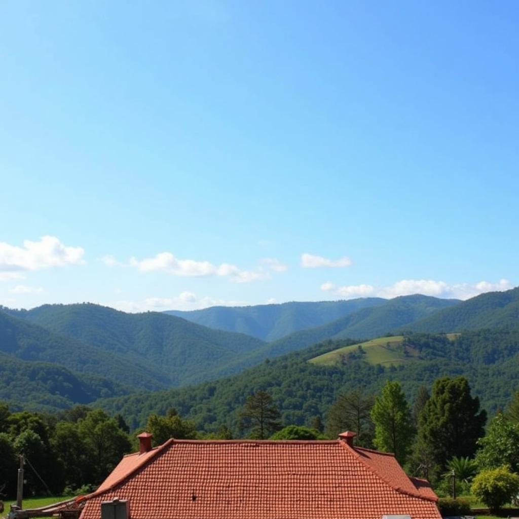 Scenic View from a Bittangala Homestay