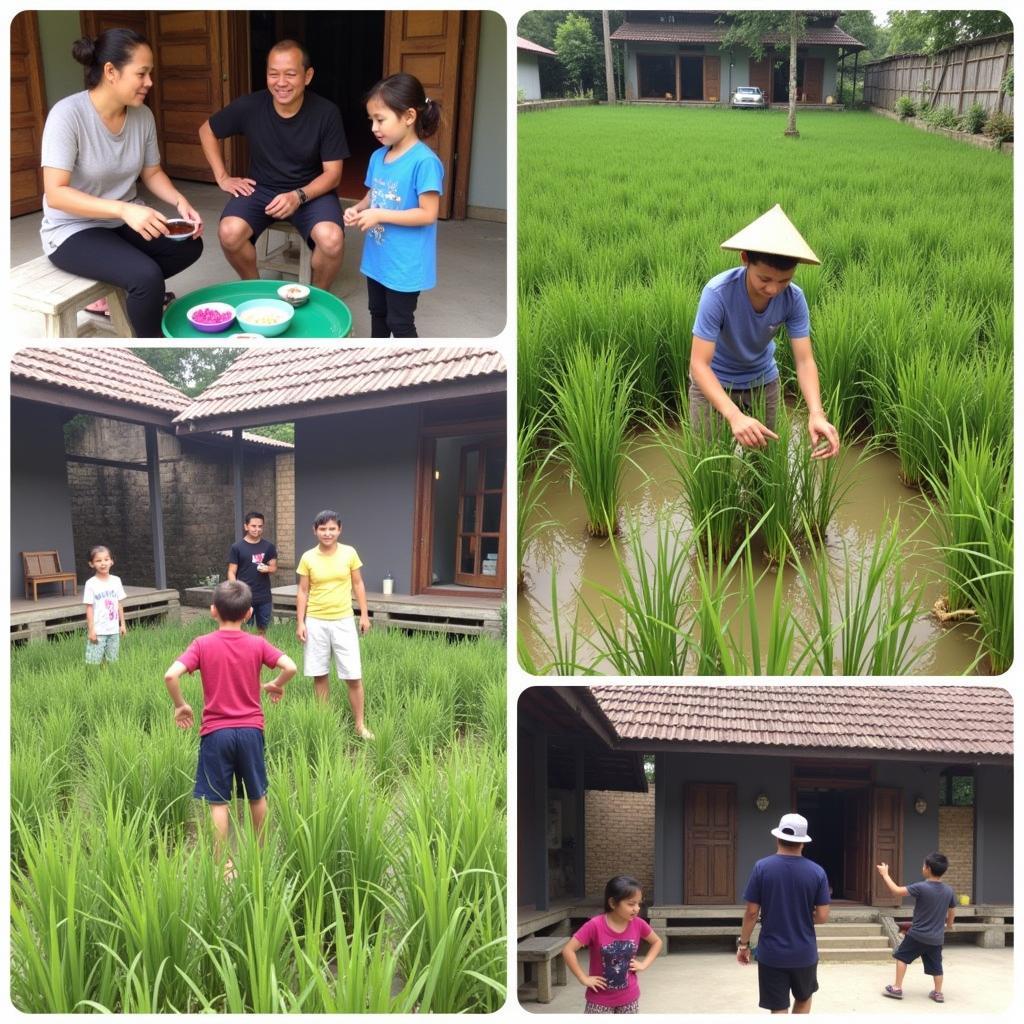 Daily Life in a Can Tho Homestay