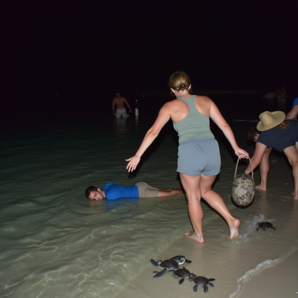 Cherating Turtle Sanctuary Night Release