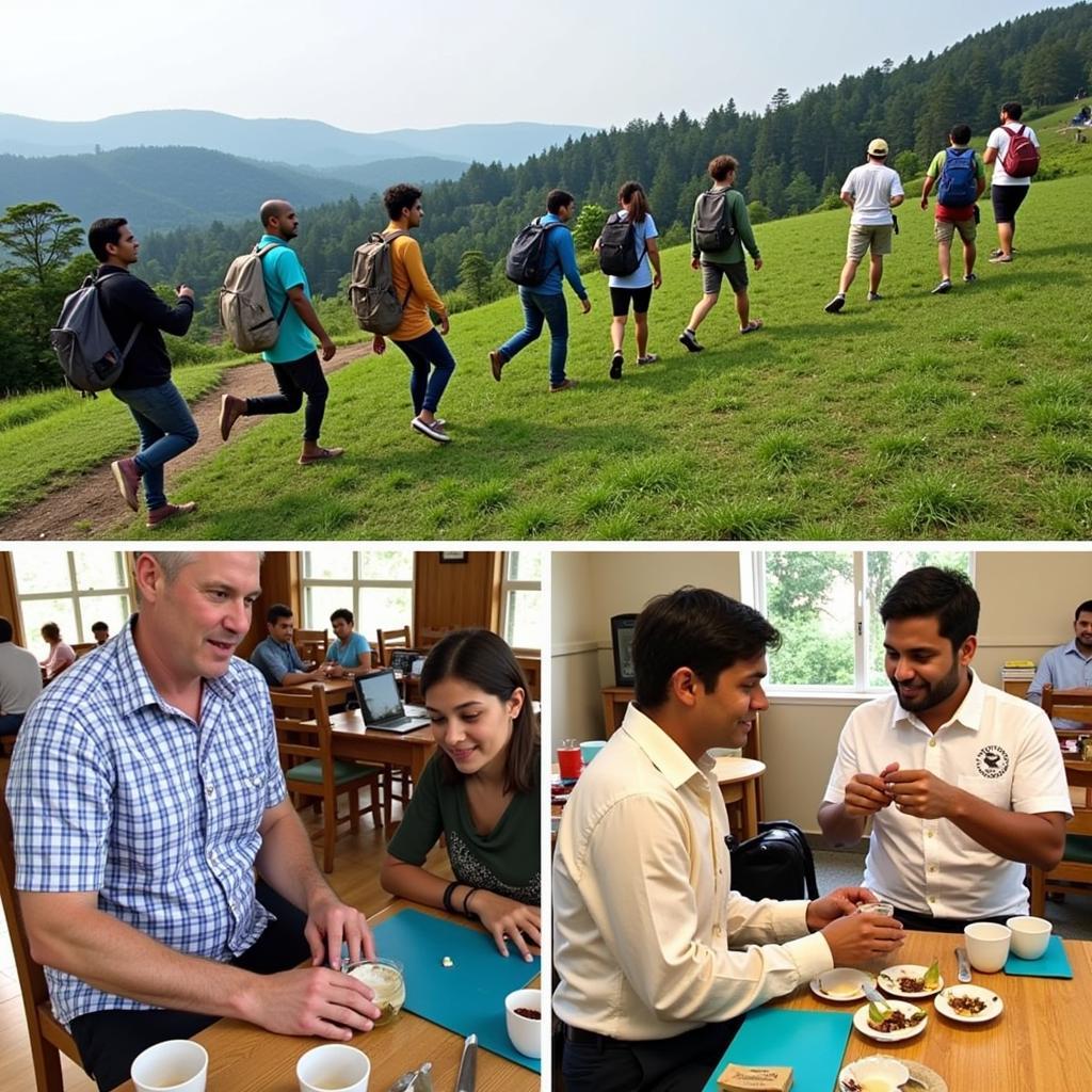 Visitors enjoying various activities at a Chikmagalur homestay, including trekking, coffee tasting, and interacting with locals.