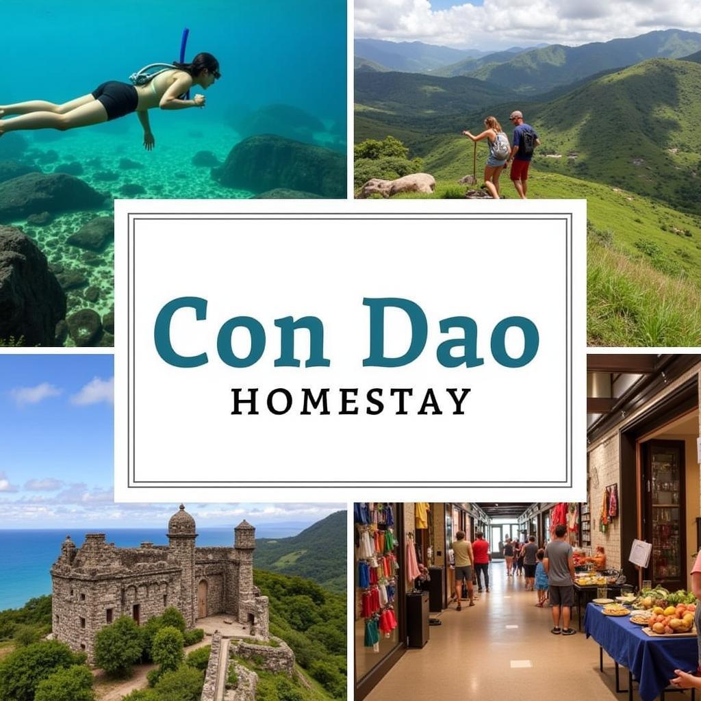 Exploring Con Dao Island from Your Homestay