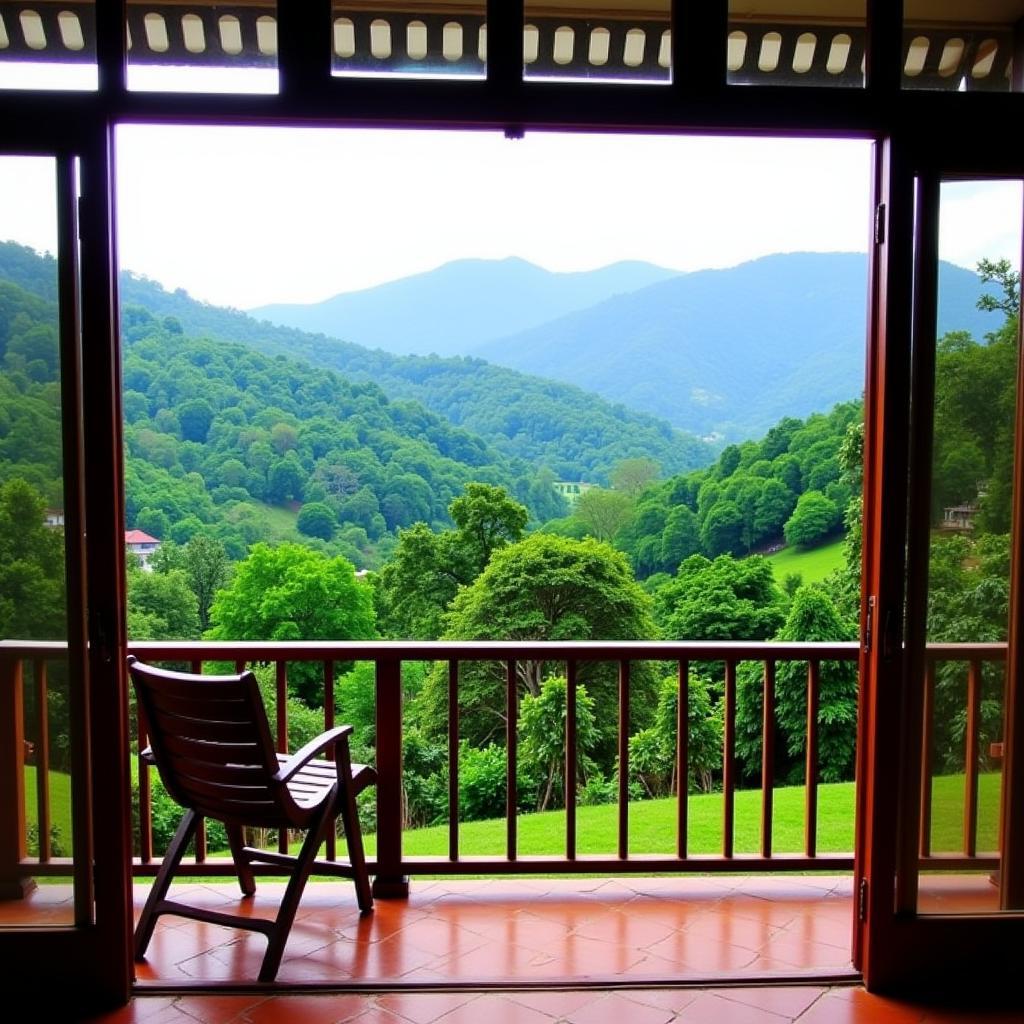 Scenic view from a Coorg homestay