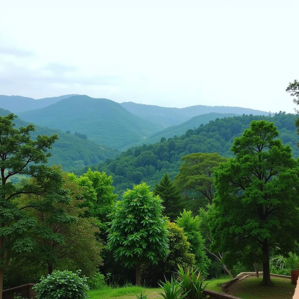 Coorg Landscape View from Anugraha Homestay