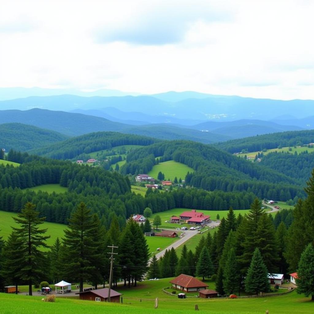 Dalhousie Landscape from Homestay