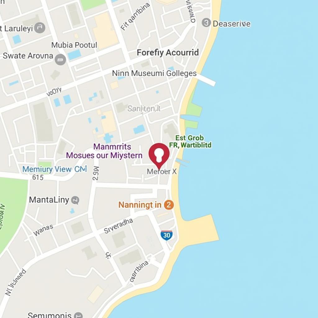 Exploring Wellington: A map of Wellington highlighting key attractions like Te Papa Museum, the Botanic Garden, and the waterfront, with a marked location of a harbour view homestay.