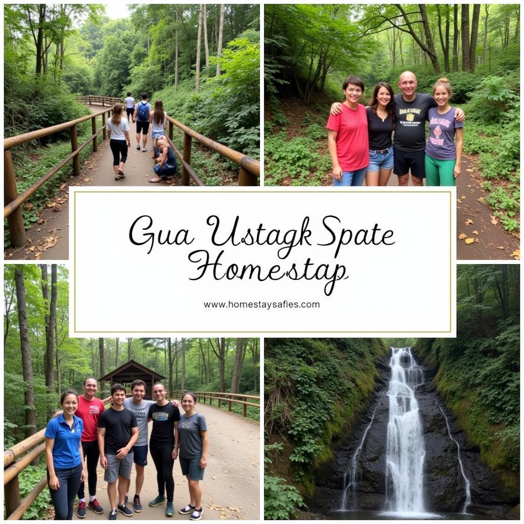 Guests of a homestay participating in outdoor activities in the natural surroundings of Gua Musang, Kelantan, Malaysia