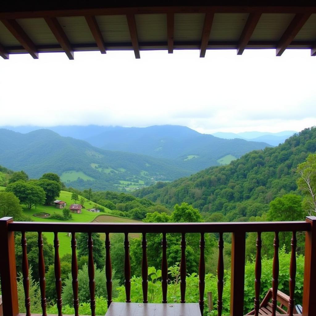 Scenic view from a Kalpetta homestay balcony