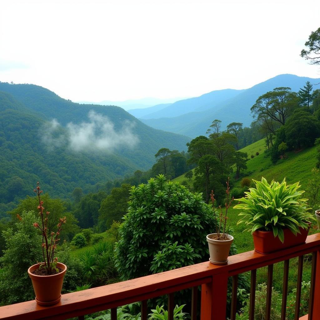 Scenic view from a Kodaikanal forest homestay balcony overlooking the lush green valley and surrounding hills