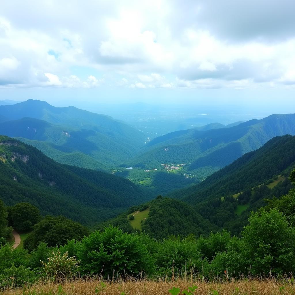 Panoramic view from Mullayanagiri peak in Chikmagalur.