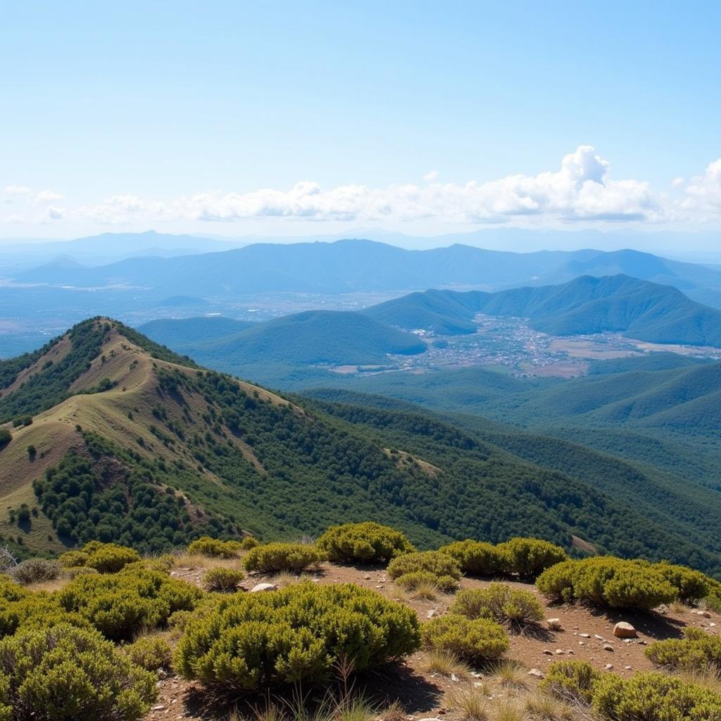 Breathtaking View from Pena Mountain Hike